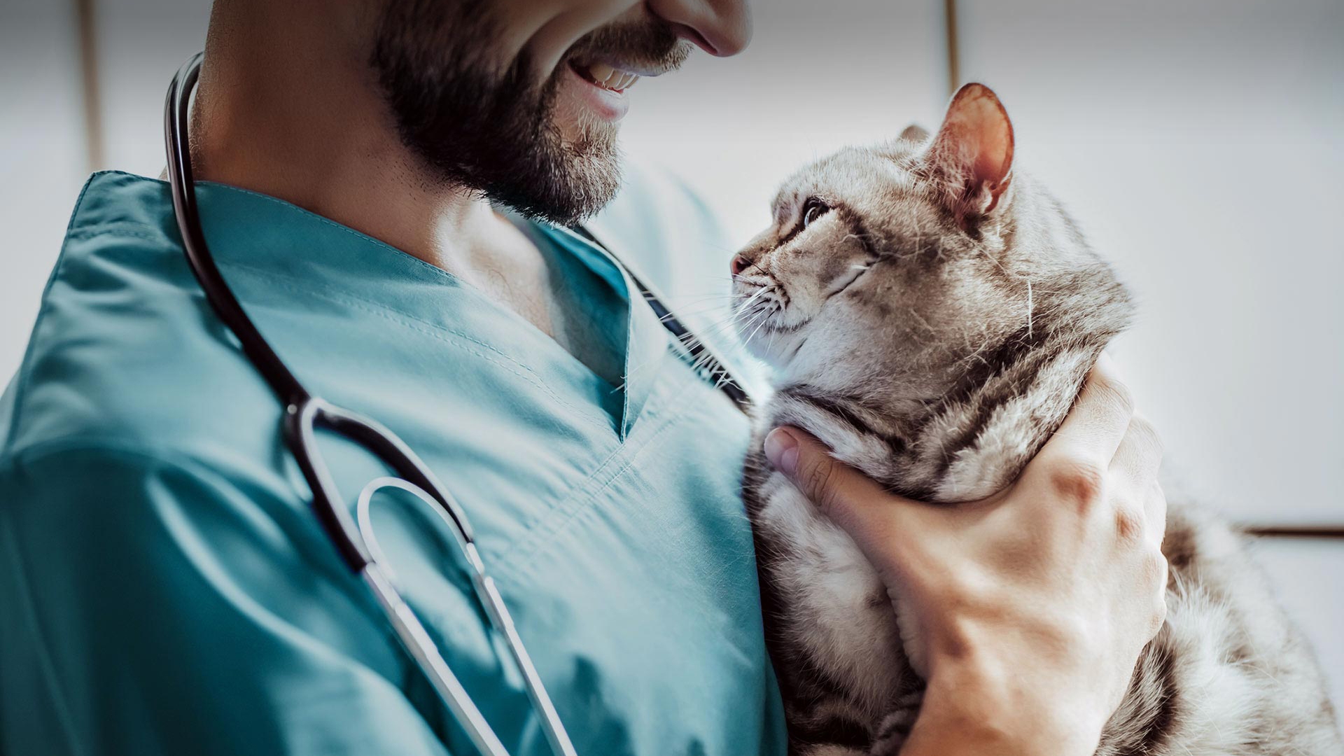 Köyceğiz Veteriner